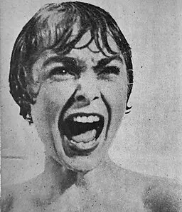 Psychose – la douche